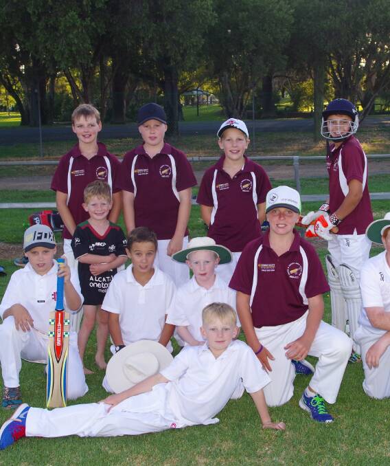 GREAT BUNCH: The Harden Under 13's Junior Cricket team X played some good cricket over in Cootamundra last week. Picture: John McLaurin.