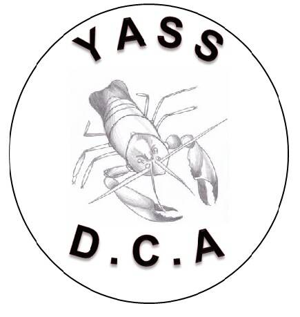 Business end of the year for YDCA