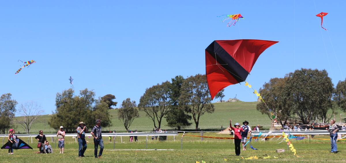 Ready for takeoff: The Harden Kite Festival challenge to break the world record for 'ducks in a row' on a kite tail lifts into the air. Picture: Lance Campbell