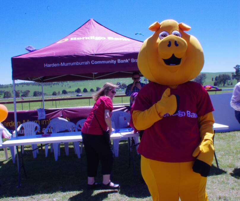 PIGS CAN FLY - A KITE: The Bendigo Bank mascot is having a great time getting to know visitors to the Kite Festival.