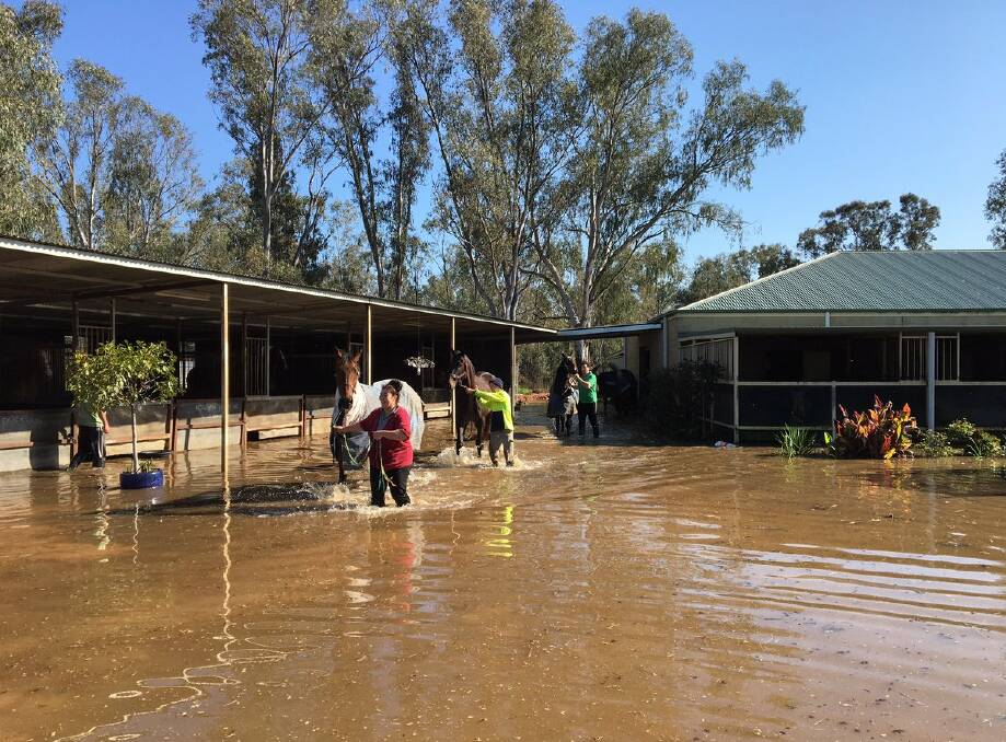 TOUGH TIMES: Wagga trainer Gary Colvin and his staff evacuate horses from his stables over the October long weekend as flood waters hit. Picture: Colvin Racing