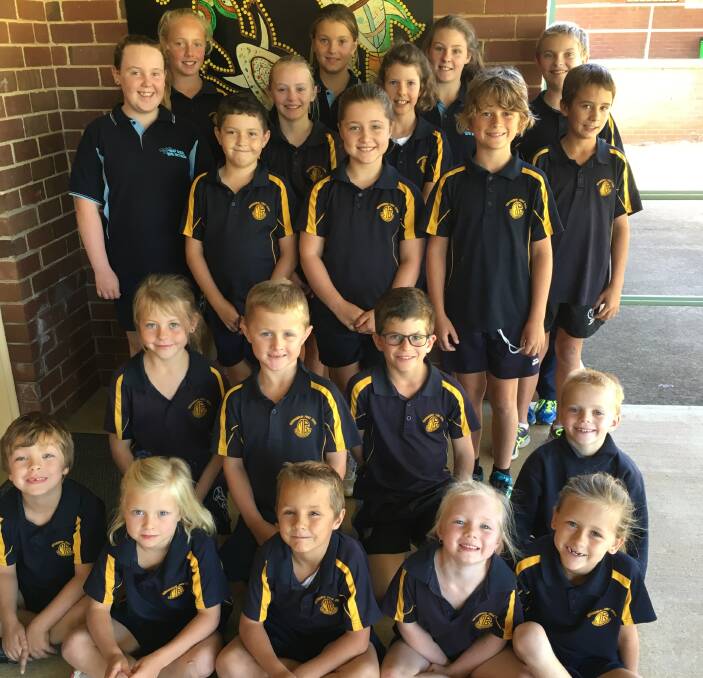 STAND-UP CITIZENS: Murrumburrah Public School's student representatives have put in a big first term leading the school community.