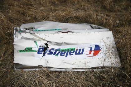 Wreckage of the downed Malaysia Airlines Flight MH17 remains scattered over the countryside in the Donetsk region of Ukraine. Photo: Maxim Zmeyev