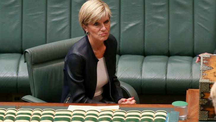Julie Bishop has been running a campaign to save the lives of the Bali nine pair. Photo: Alex Ellinghausen