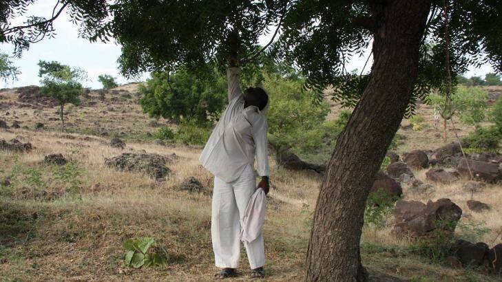 Scene of death: Nitin Aage's father, Raju, points to the tree branch from which his son was hanged. Photo: Jason Koutsoukis