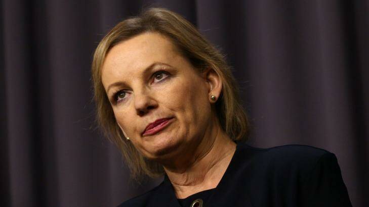 Health Minister Sussan Ley. Photo: Andrew Meares