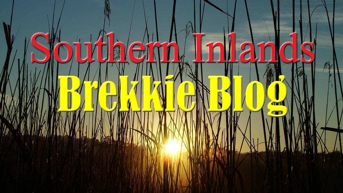 Southern Inlands Brekkie Blog - September 17