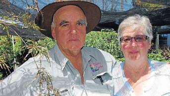 David and Olwen Brassington share a love of gardening.