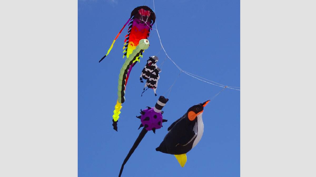 Kites to soar at festival