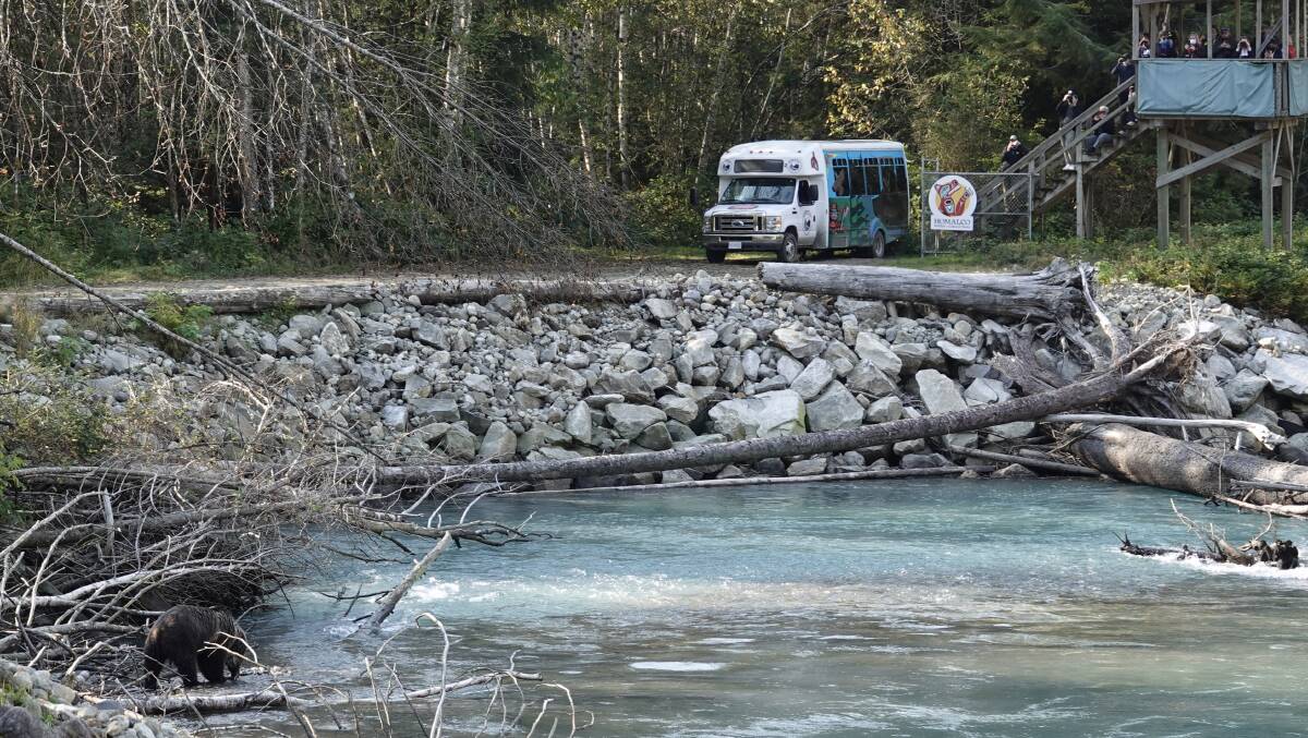 A bus and viewing platform in the Homalco First Nations territory.