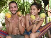 Backpackers like Matteo Fillipo from Italy and Pei-pei Lee from Taiwan were in Katherine in 2019 to cash in on the high rewards from region's mango harvest and found it hot work.