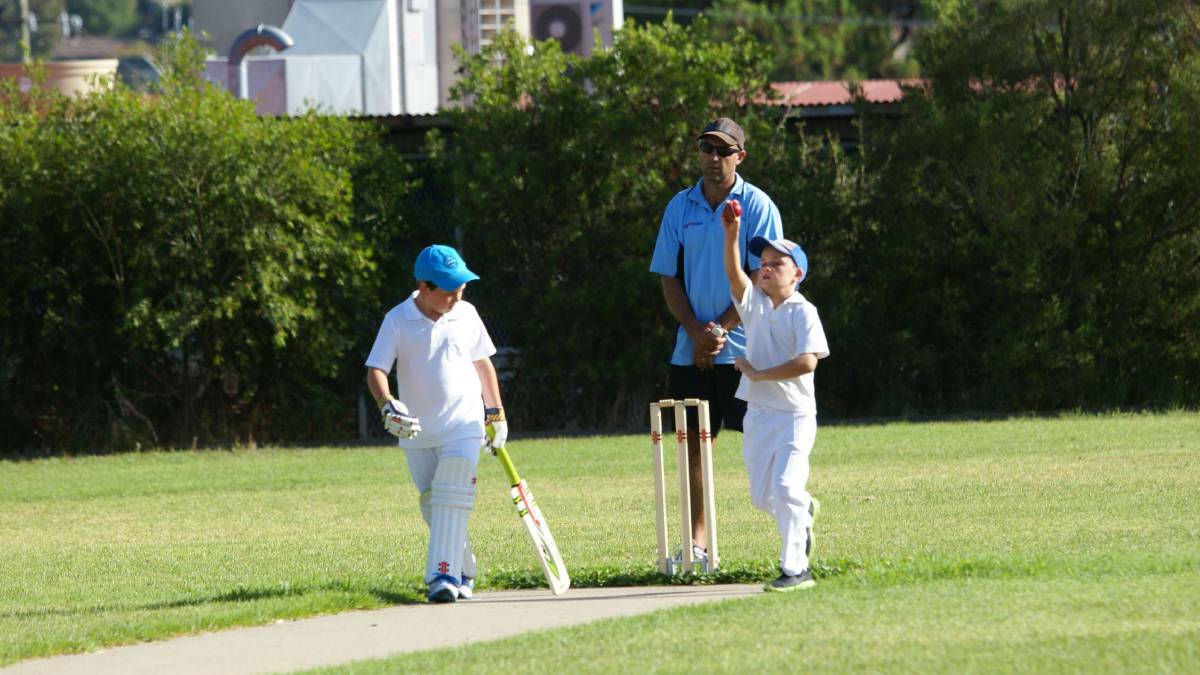 Junior cricket cancelled due to heatwave last weekend