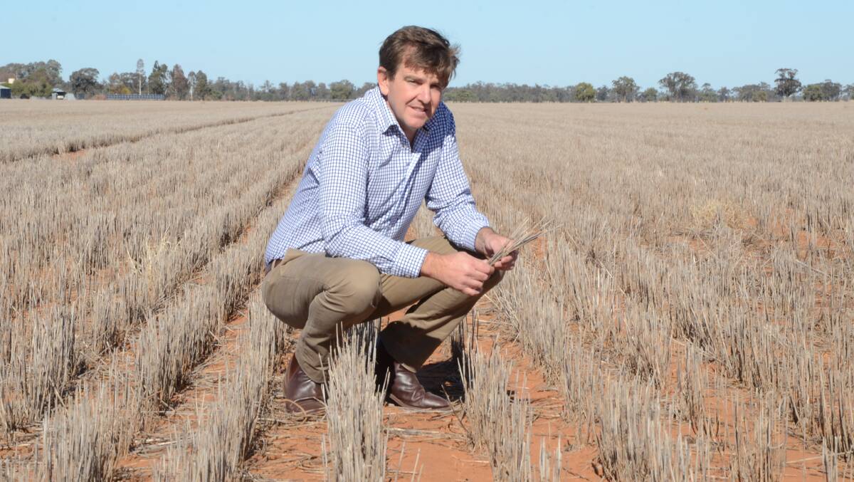 DRY TIMES: NSW Farmers Narromine and Trangie branch chair James Hamilton has been helping other landholders with succession planning.