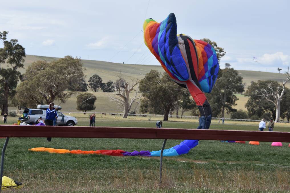 Ready to soar: 2018 Harden Kite Festival recorded the biggest visitor numbers ever. Organisers are hoping for even more this year. Picture: Jody Potts