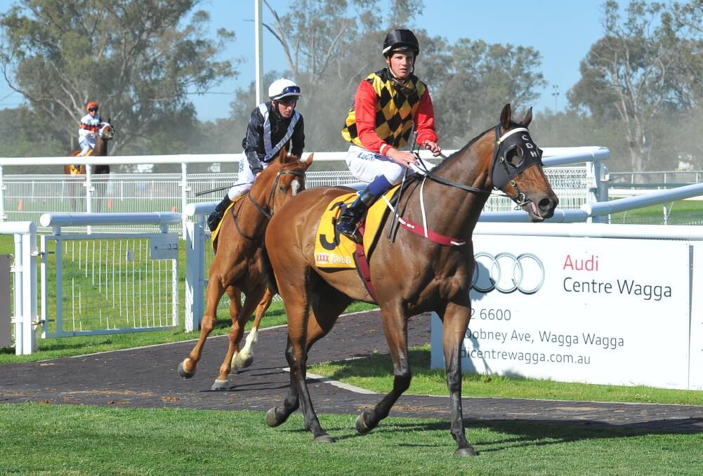 HOMETOWN HOPE: The Chris Heywood-trained Lighthouse will carry the top weight in the Harden Picnic Cup (1400m) on Saturday.