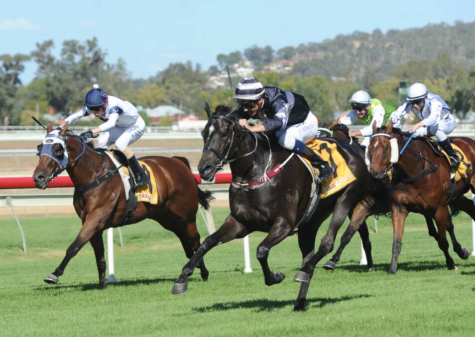 HOME AND HOSED: Nick Heywood guides Star Of Serena to victory at Murrumbidgee Turf Club on Monday. Picture: Matt Malone