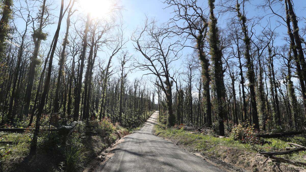 Morton National Park slowly returning to normal in August 2020. Picture by Robert Peet Morton National Park slowly returning to normal in August 2020. Picture by Robert Peet