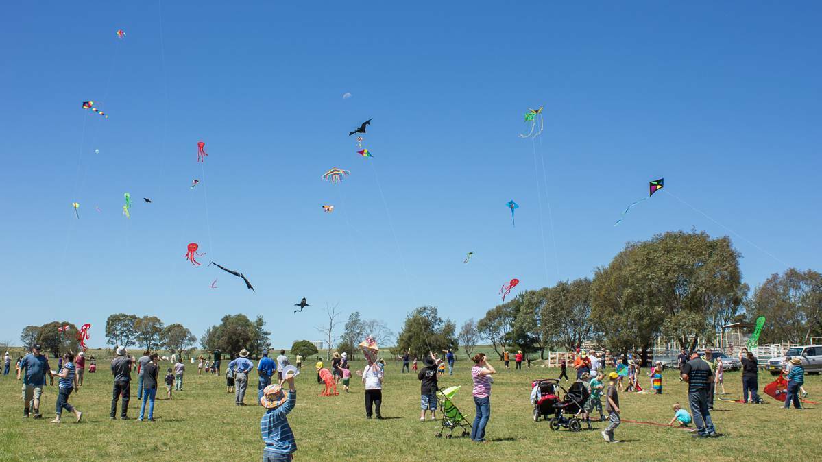 The Harden Kite Festival.