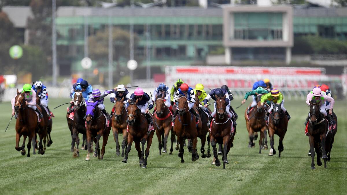 TOUGH RUN: Single Gaze finished 17th in the Melbourne Cup which was won by Rekindling, for jockey Corey Brown, trainer Joe O'Brien and owner Lloyd Williams. Picture: AAP
