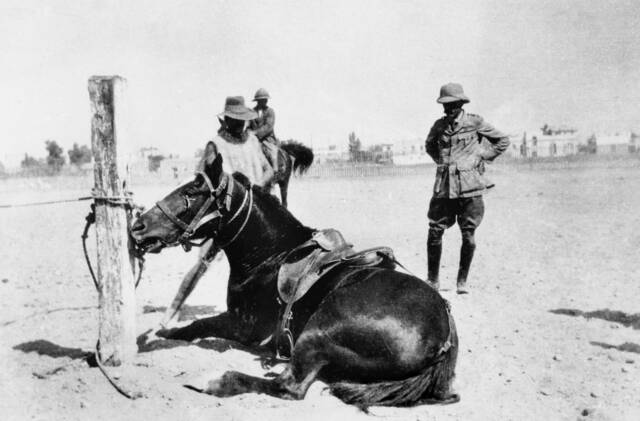 FAMOUS FRIEND: Bill the Bastard's minder on the long journey to war by sea was writer, poet and journalist Banjo Paterson, pictured here in Egypt with a sulking horse. Picture: AWM P00269.001

