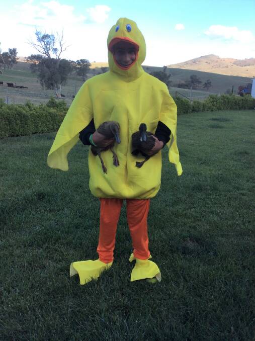 QUACK, QUACK: Beau Abnett tries on the “Duck Suit” after two consecutive ducks, a third duck and he will have to wear it to bat. Picture: Contributed
