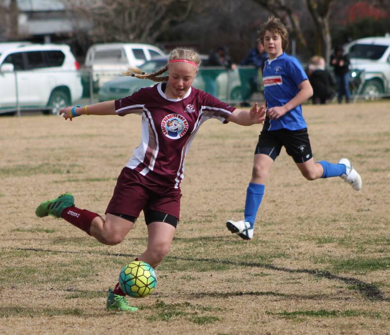 More pictures from the junior soccer online at hardenexpress.com.au