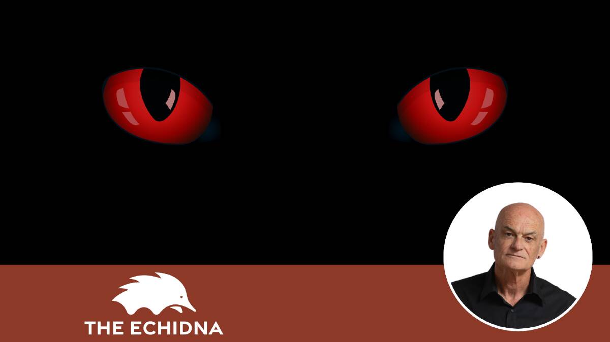 Gambling, a predator that stalks its prey in dark rooms reeking of stale smoke and shattered hopes. Picture Shutterstock