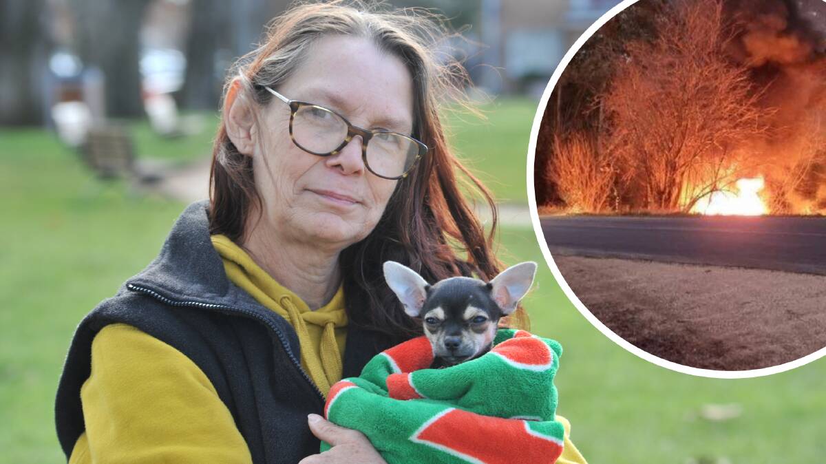 LUCKY ESCAPE: Veronica Robertson and her nine-week-old Chihuahua Candy Girl are thankful to be alive after a crash on the Burrendong Way. Photo: JUDE KEOGH. 