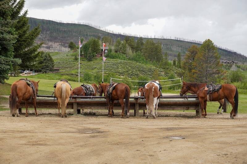 Life on a dude ranch