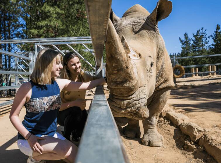 Immersive wildlife experiences.