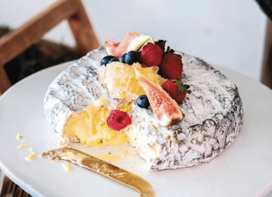 What to expect on your plate at CheeseFest.
