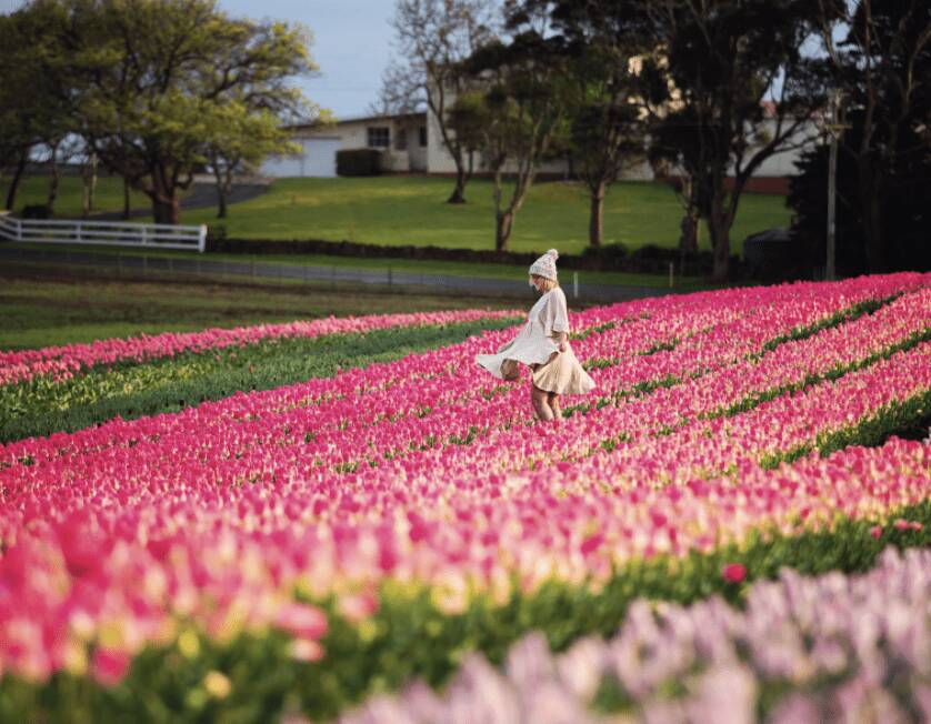 Flower power: the festivals you should visit during the spring holidays