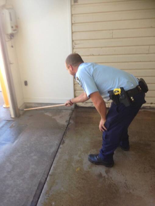 A police officer tries to lure a baby brown snake out of the Young police station recently. Picture: Cootamundra LAC Facebook