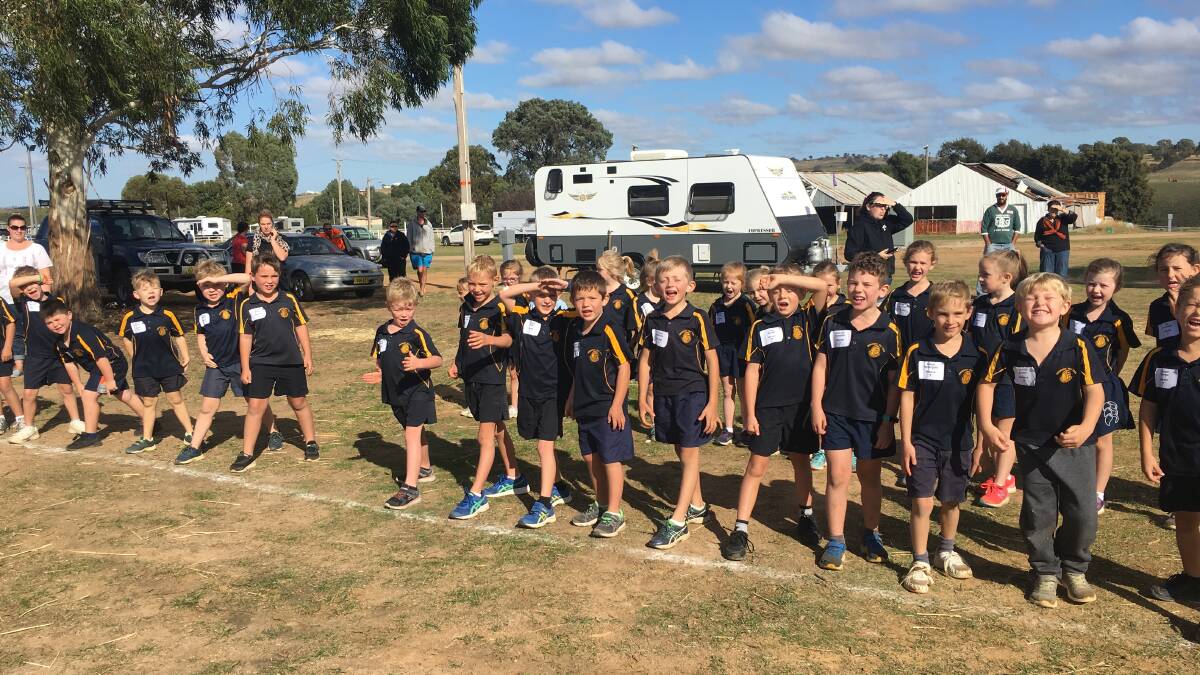 ON YOUR MARKS: Kinder students take their place at the start of their very first cross-country at Murrumburrah Public School.