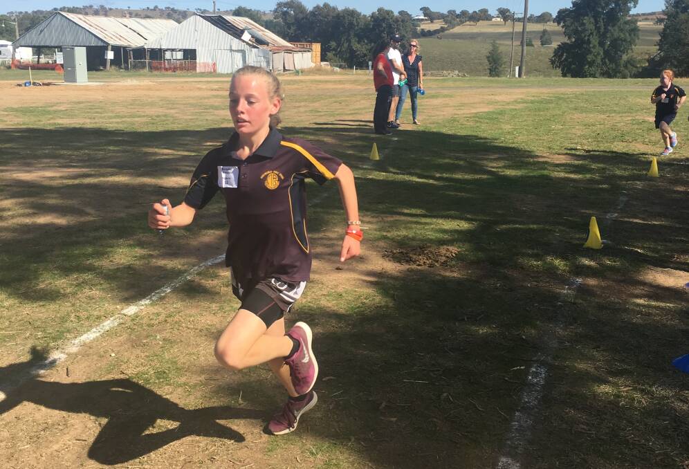 IN HER STRIDE: Brooke Emms in action on the cross-country course.