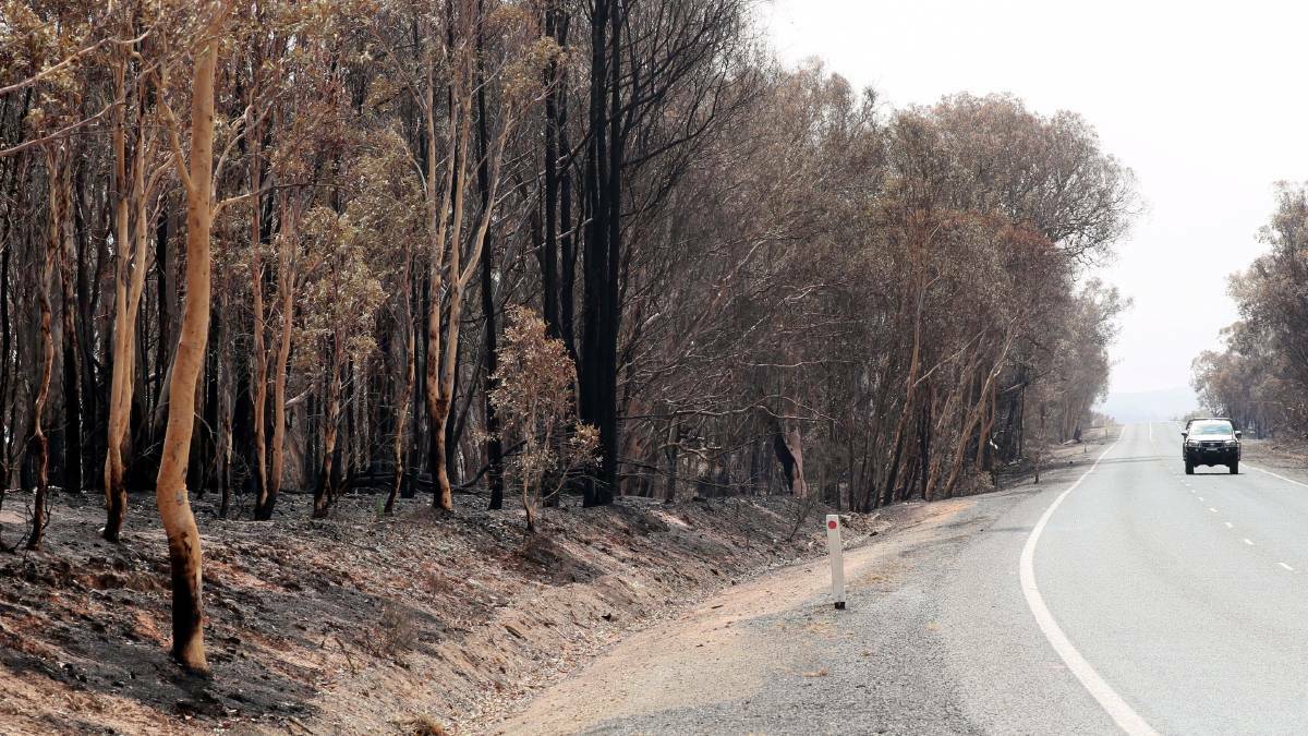 Fire damage along the Snowy Mountains Highway heading to Adelong at the Ellerslie Road turn-off, seen on Friday before worsening conditions. Photo: Les Smith