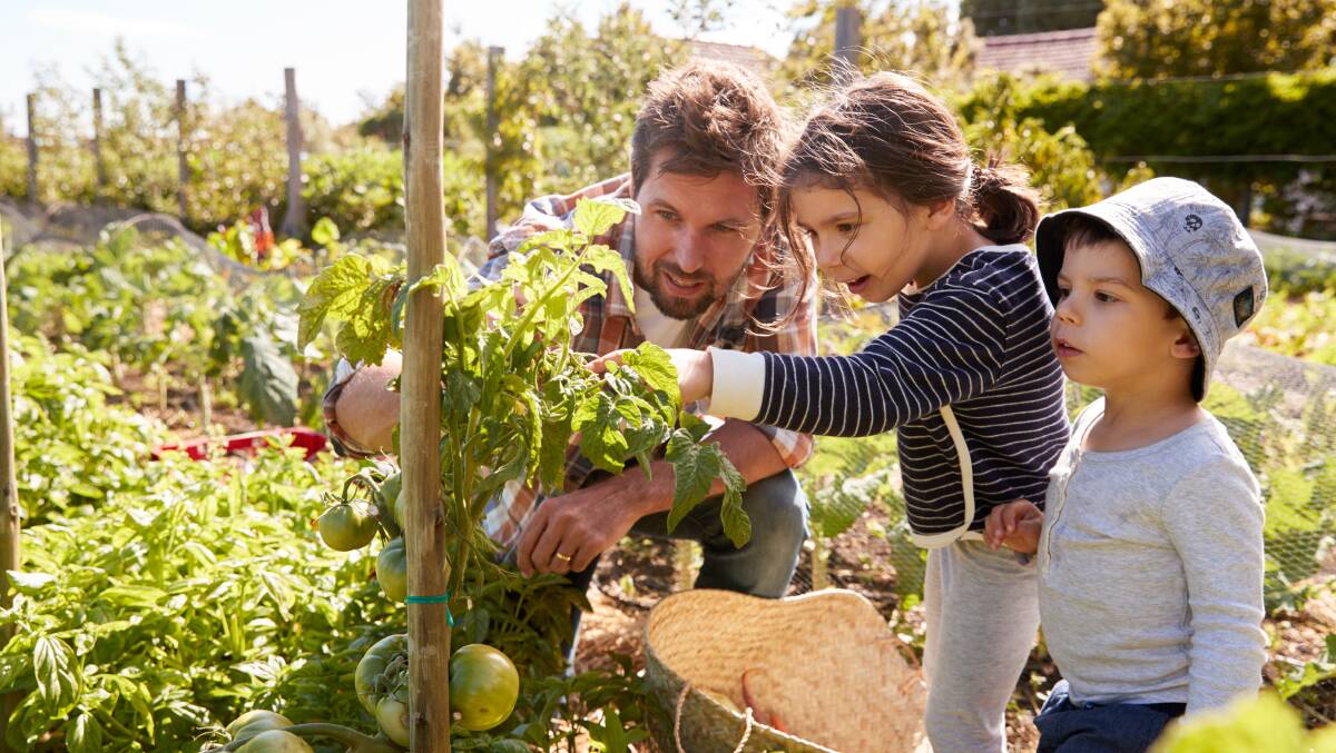 Young men are getting down and dirty with the 18 to 34-year-old male demographic being more involved in the outdoors and gardening with the kids. Photo: Shutterstock. 