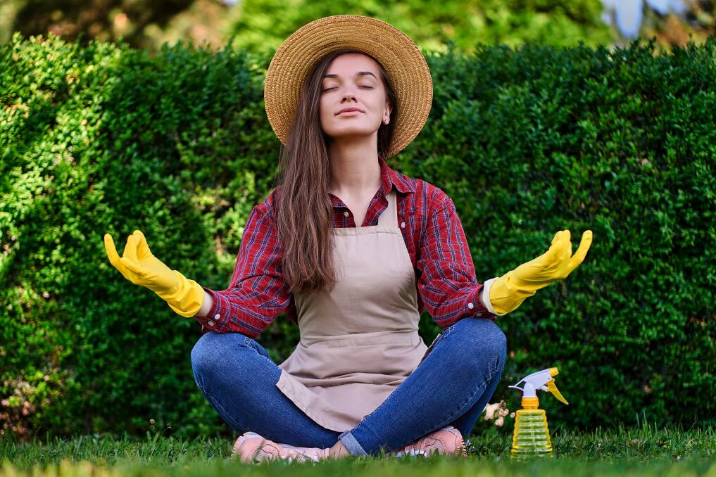 Save your plants from stressing this summer. Photo: Shutterstock.