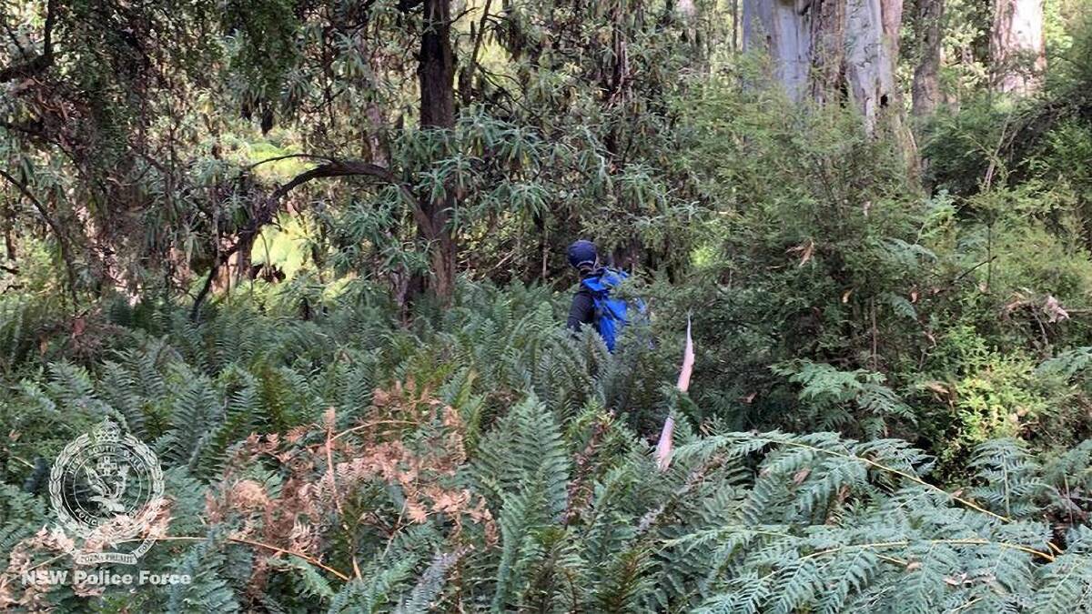 The terrain is so dense searchers in some parts of the park can't see their feet, police say. (Supplied by Nsw Police/AAP PHOTOS) The terrain is so dense searchers in some parts of the park can't see their feet, police say. (Supplied by Nsw Police/AAP PHOTOS)