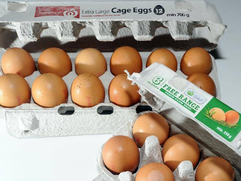 A Victorian poultry farm faces a massive bird cull after a salmonella threat led to an egg recall.