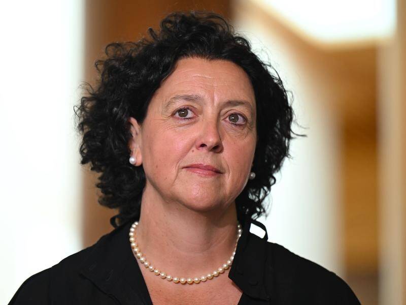 The grand-niece of former Victorian premier Rupert 'Dick' Hamer will take on Monique Ryan in Kooyong (Lukas Coch/AAP PHOTOS)