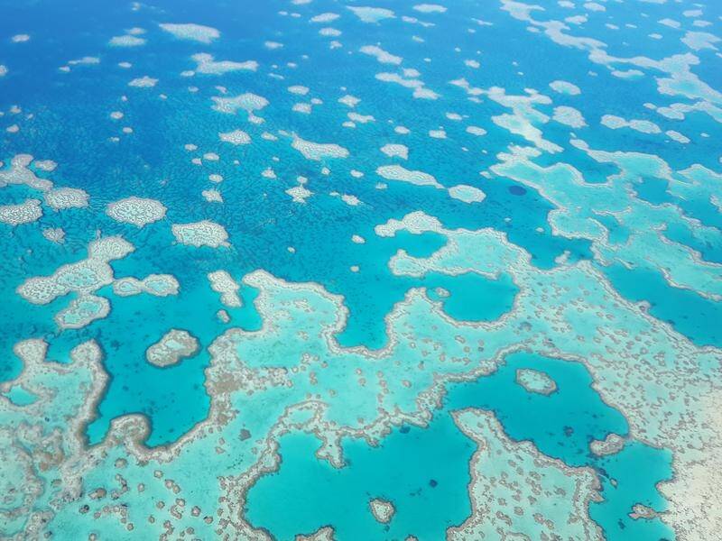 UNESCO has given Australia until May next year to upgrade its protection of the Great Barrier Reef.