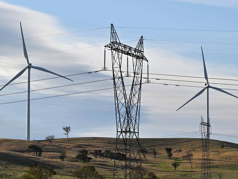Renewables will make up half of the energy grid by 2050 alongside nuclear power, the coalition says. Photo: Mick Tsikas/AAP PHOTOS