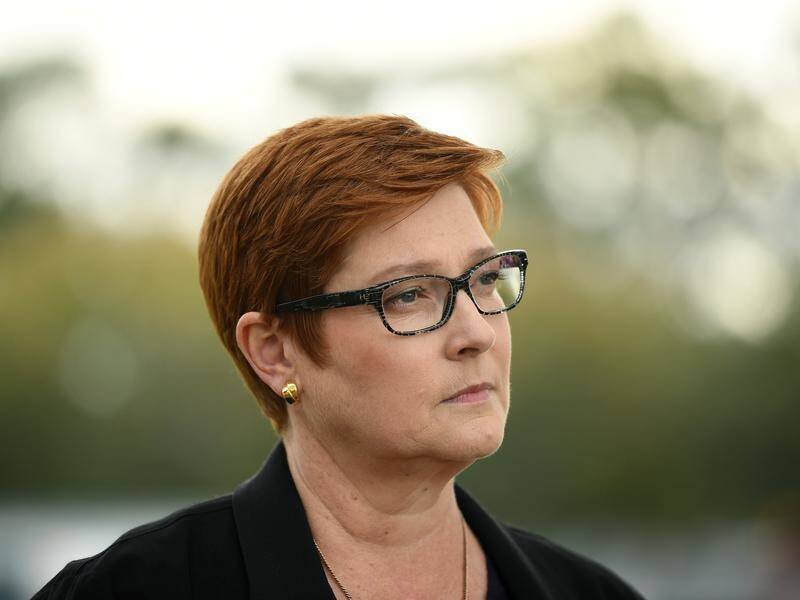 Marise Payne will visit Washington DC for annual diplomatic and defence talks.