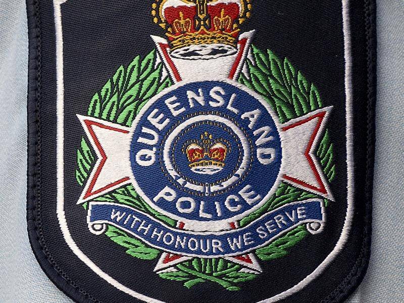 Police have appealed for help finding those involved in the slaughter of horses in rural Queensland.