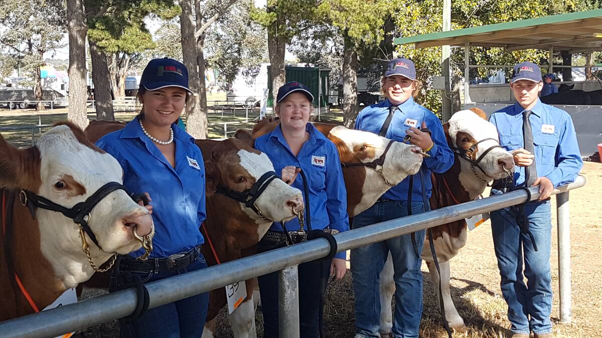 SHOW TEAM: Students Haylee Allen, Hannah Phillis, Gus Shea and Rory Fogg with their charges at the Royal Canberra Show.