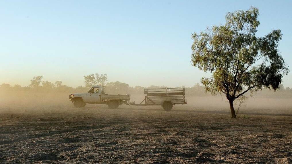 DRY TIMES: Currently 97.3 per cent of NSW is in drought, data from the NSW Department of Primary Industries shows. Photo: FILE
