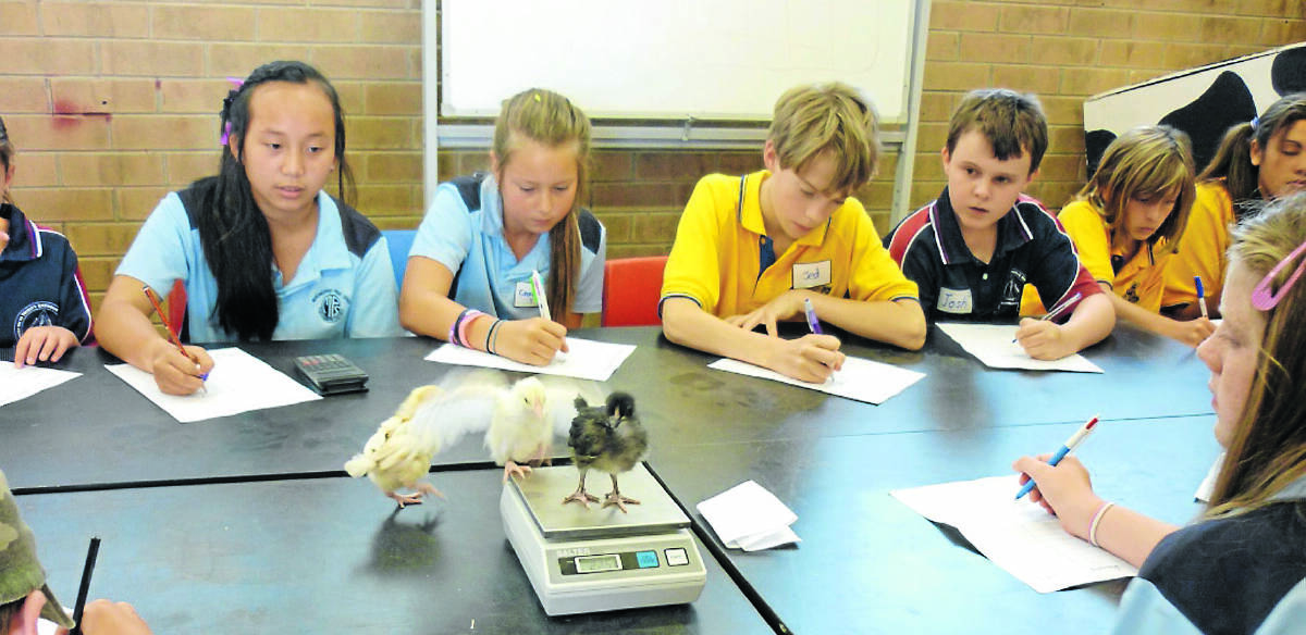 Murrumburrah Public School Year 6 students have been taking part in transition days ahead of entering high school next year.